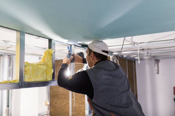 Types of Insulation We Offer in Vidor, TX