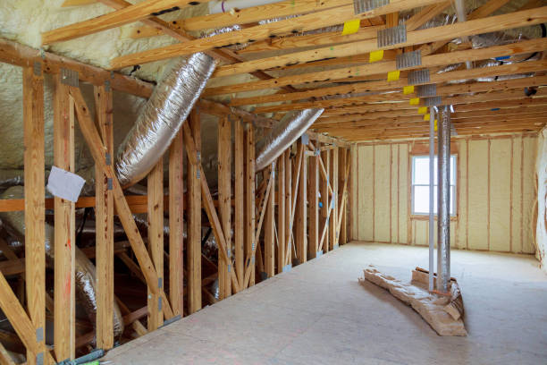 Best Cellulose Insulation in Vidor, TX
