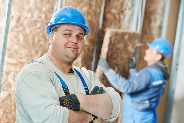 Best Eco-Friendly Insulation in Vidor, TX